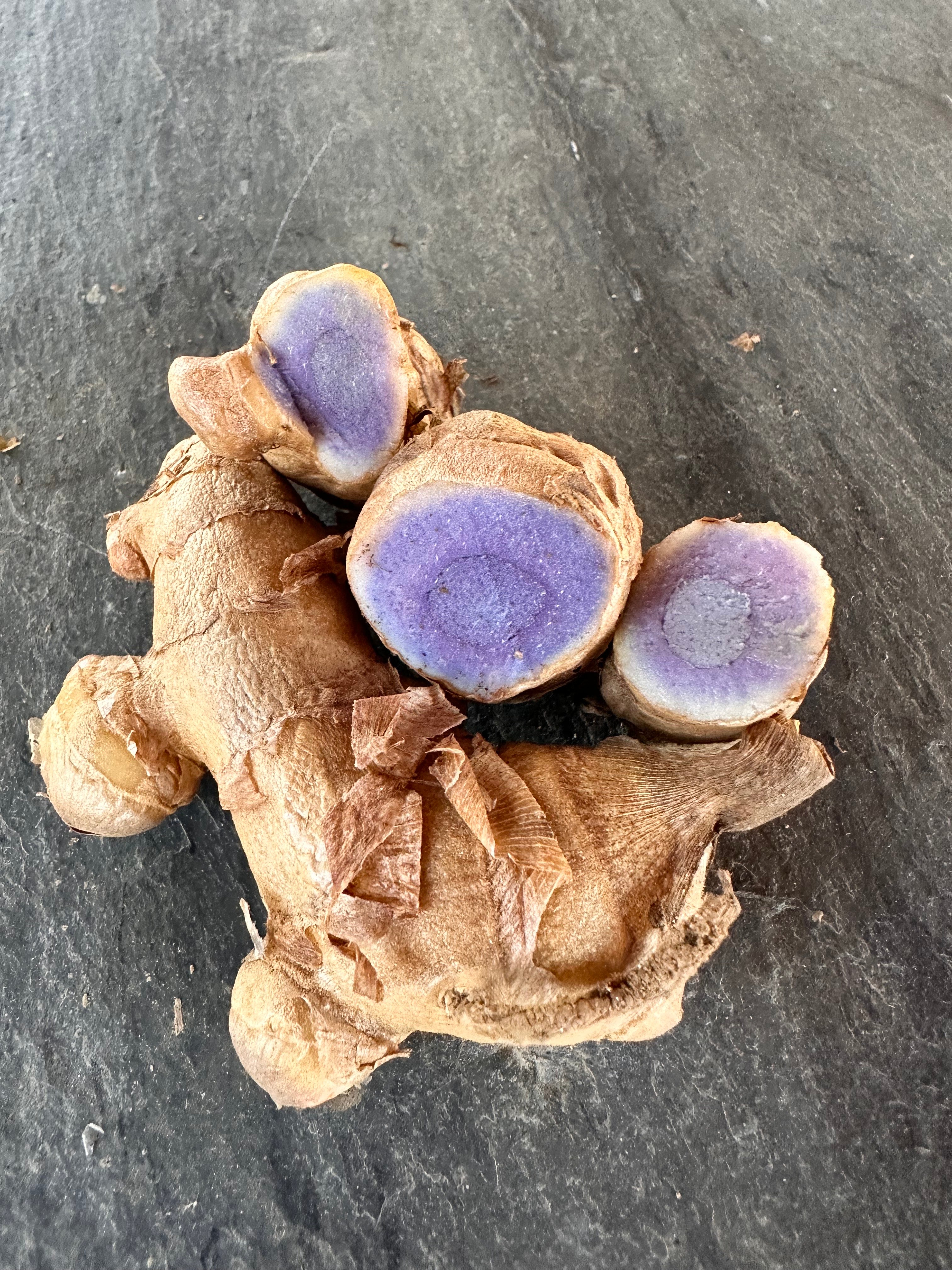 Turmeric Rhizomes - Blue / Black, 8 oz - Sow True Seed