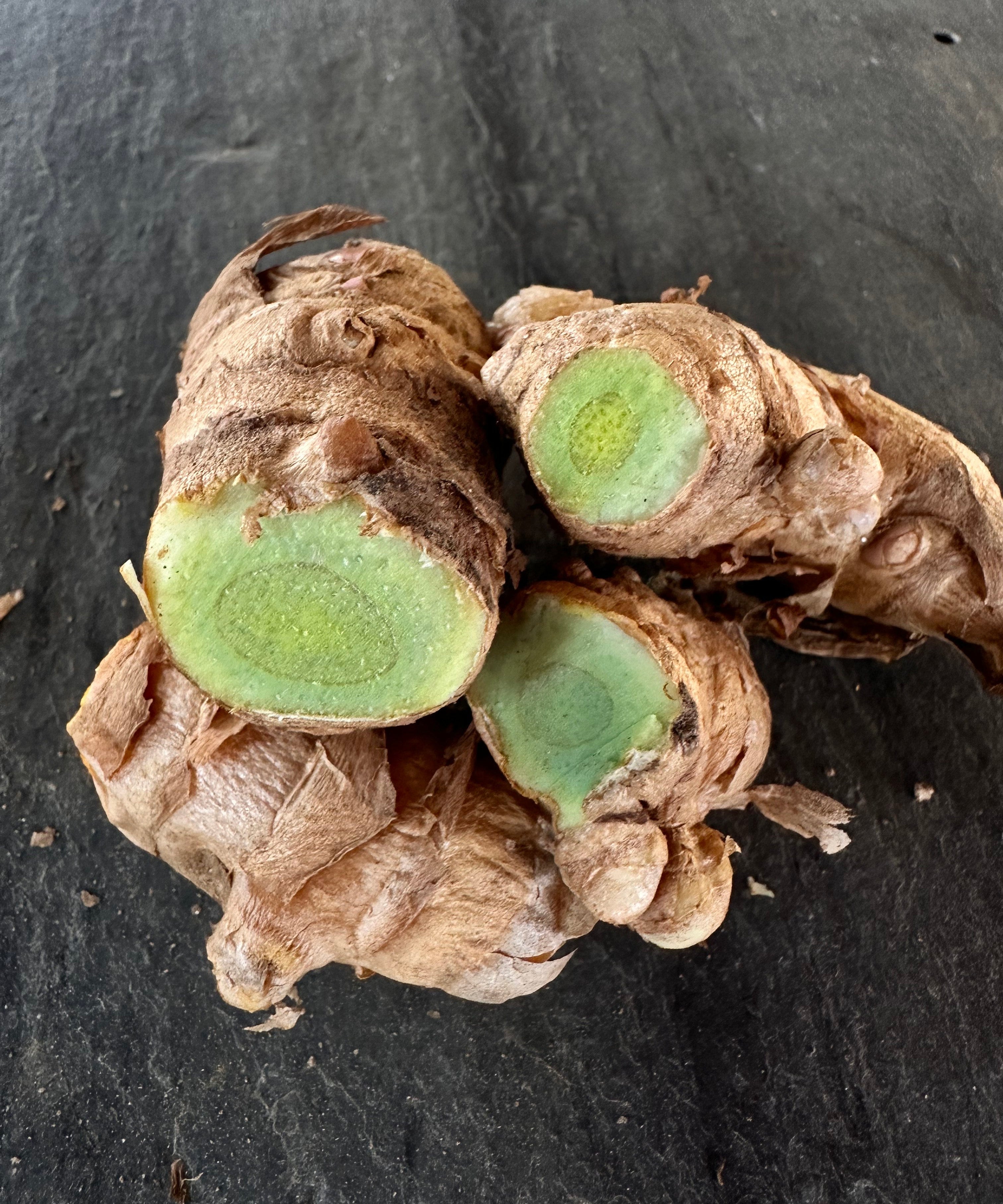 Turmeric Rhizomes - Green, 8 oz - Sow True Seed