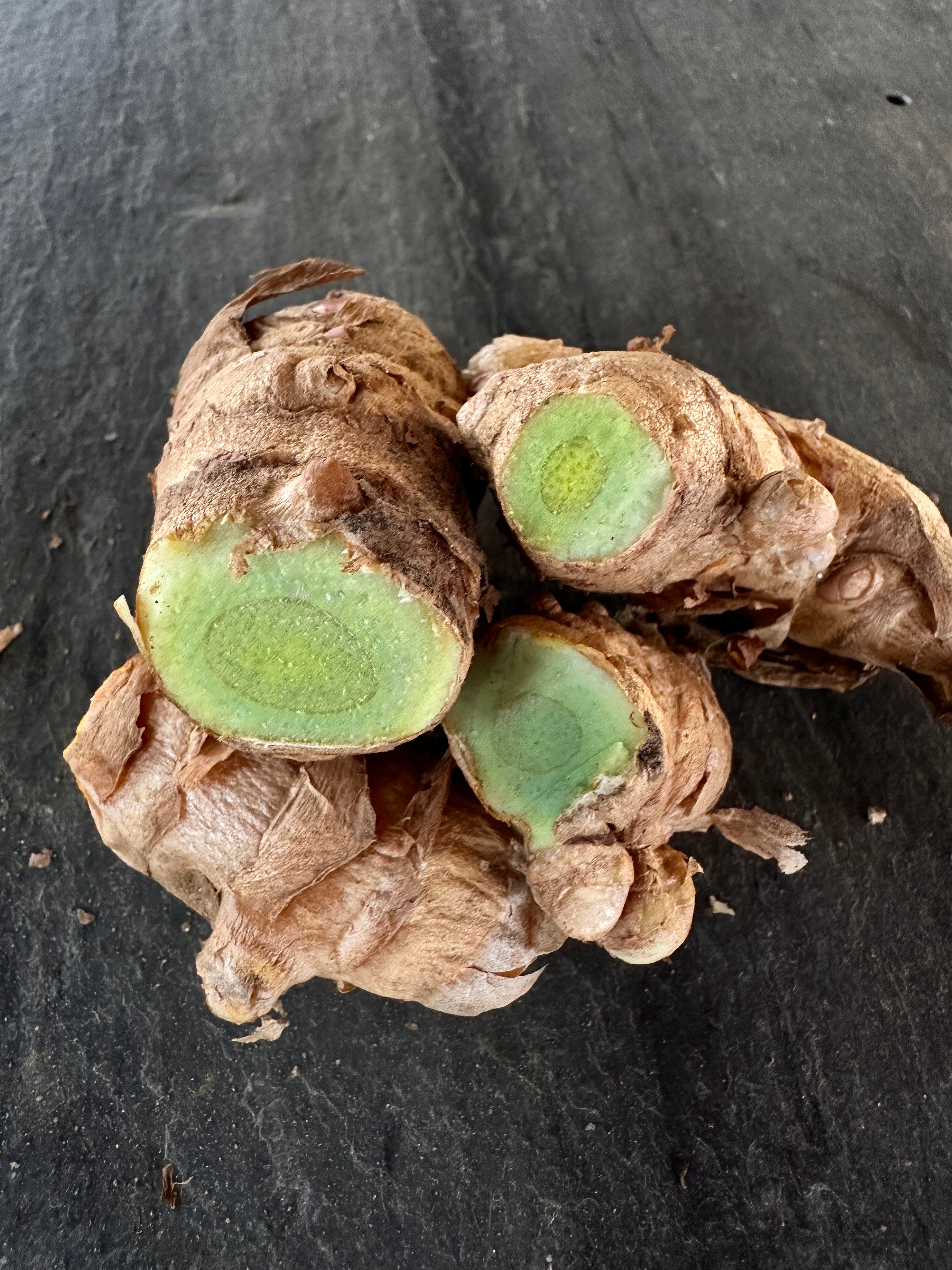 Turmeric Rhizomes - Green, 8 oz - Sow True Seed
