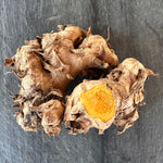 Turmeric Rhizomes - Plai, 8 oz - Sow True Seed