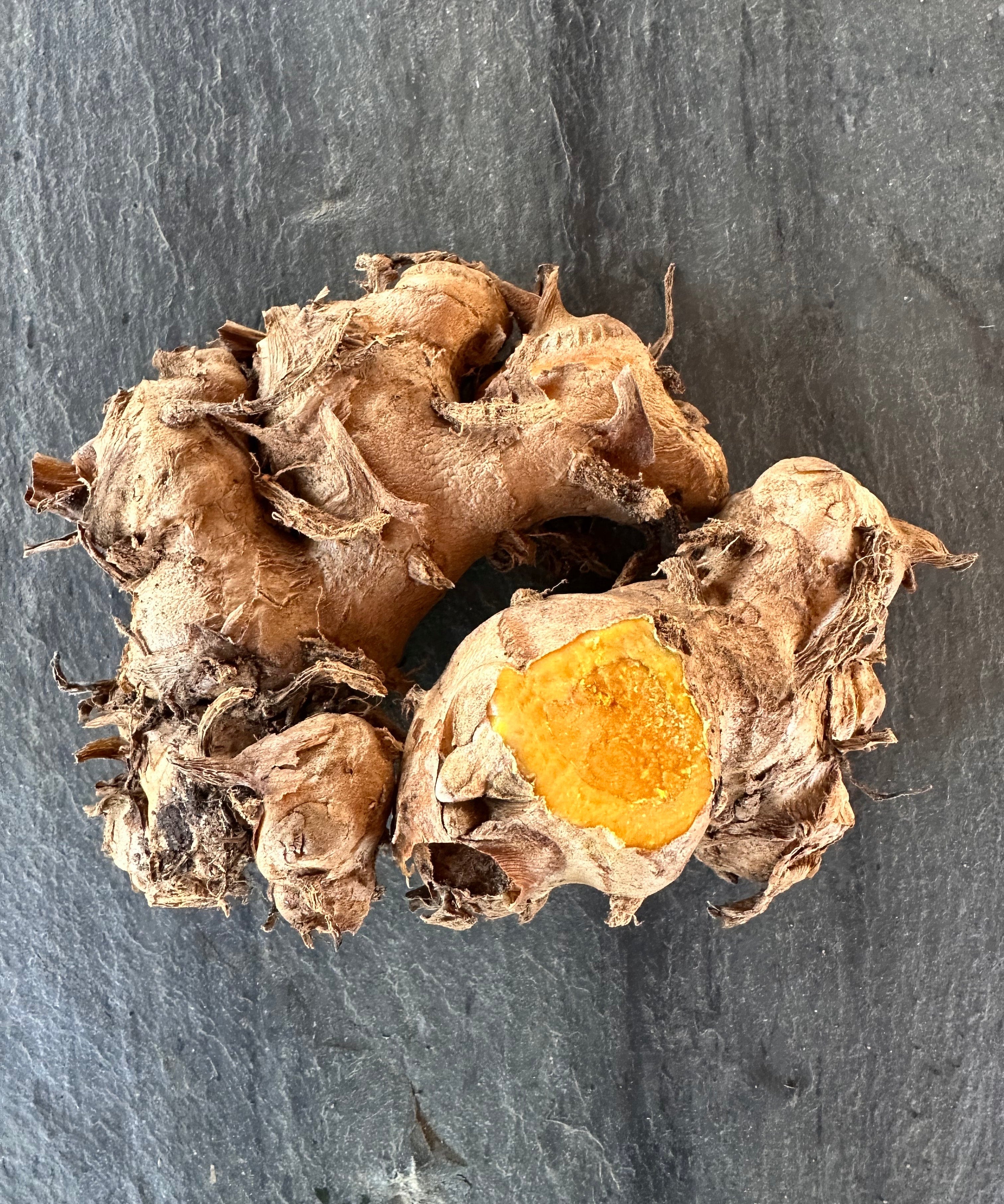 Turmeric Rhizomes - Plai, 8 oz - Sow True Seed