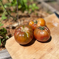 Slicing Tomato Seeds - Dwarf Tennessee Suited - Sow True Seed