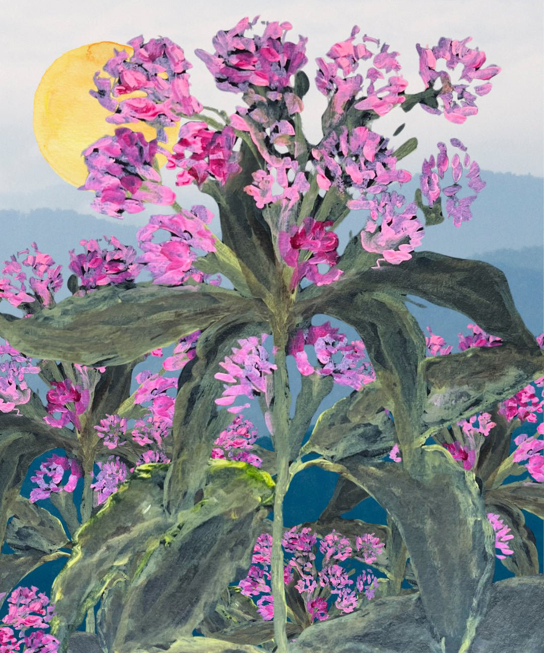 Joe Pye Weed Seeds - Queen of the Meadow - Sow True Seed