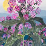 Joe Pye Weed Seeds - Queen of the Meadow - Sow True Seed