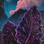 Kale Seeds - Scarlet - Sow True Seed