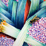 Leek Seeds - American Flag - Sow True Seed