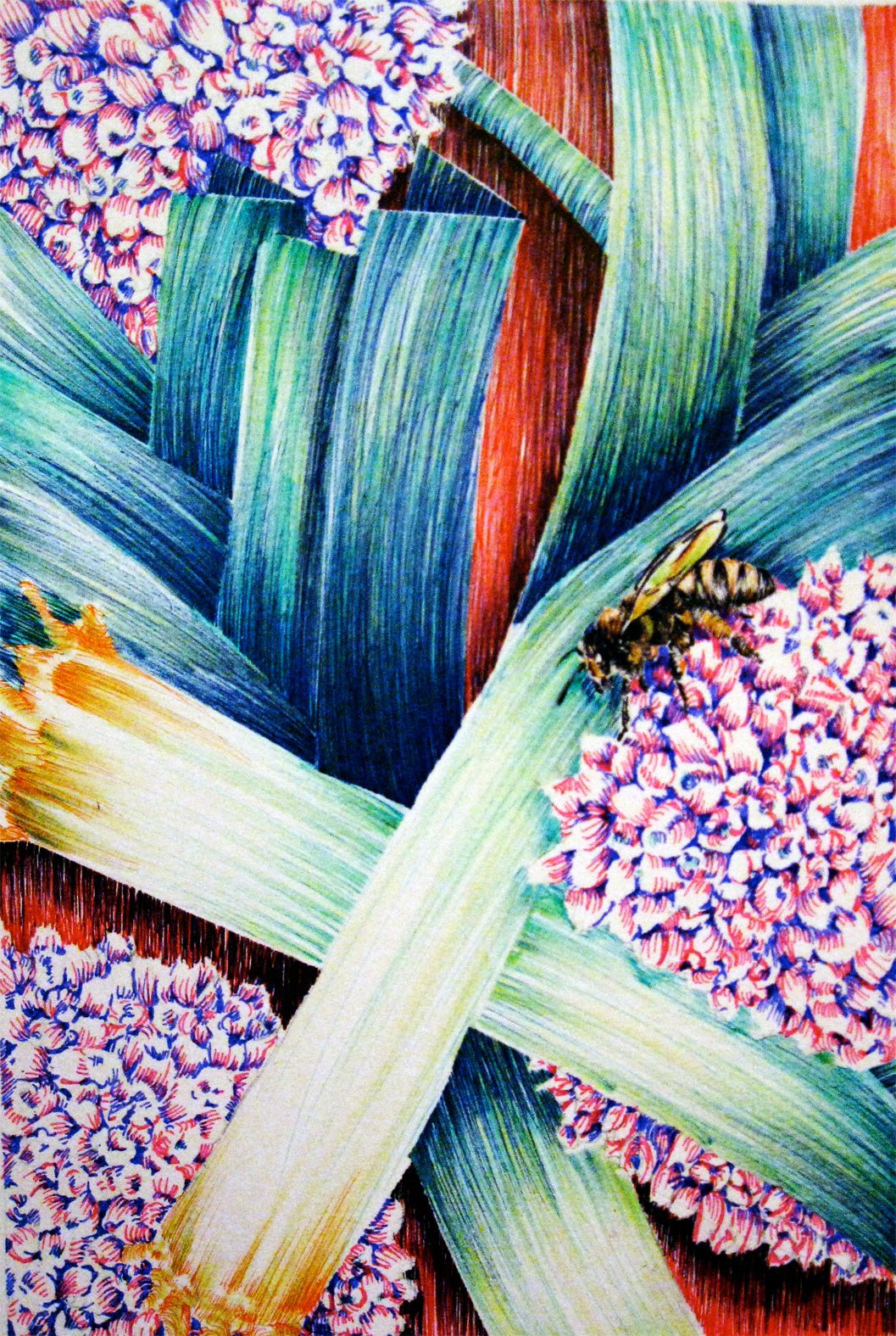 Leek Seeds - American Flag - Sow True Seed