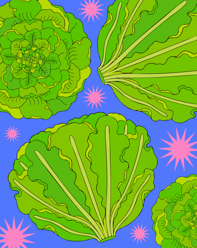 Lettuce Seeds - Buttercrunch - Sow True Seed