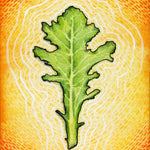 Lettuce Seeds - Green Oakleaf - Sow True Seed