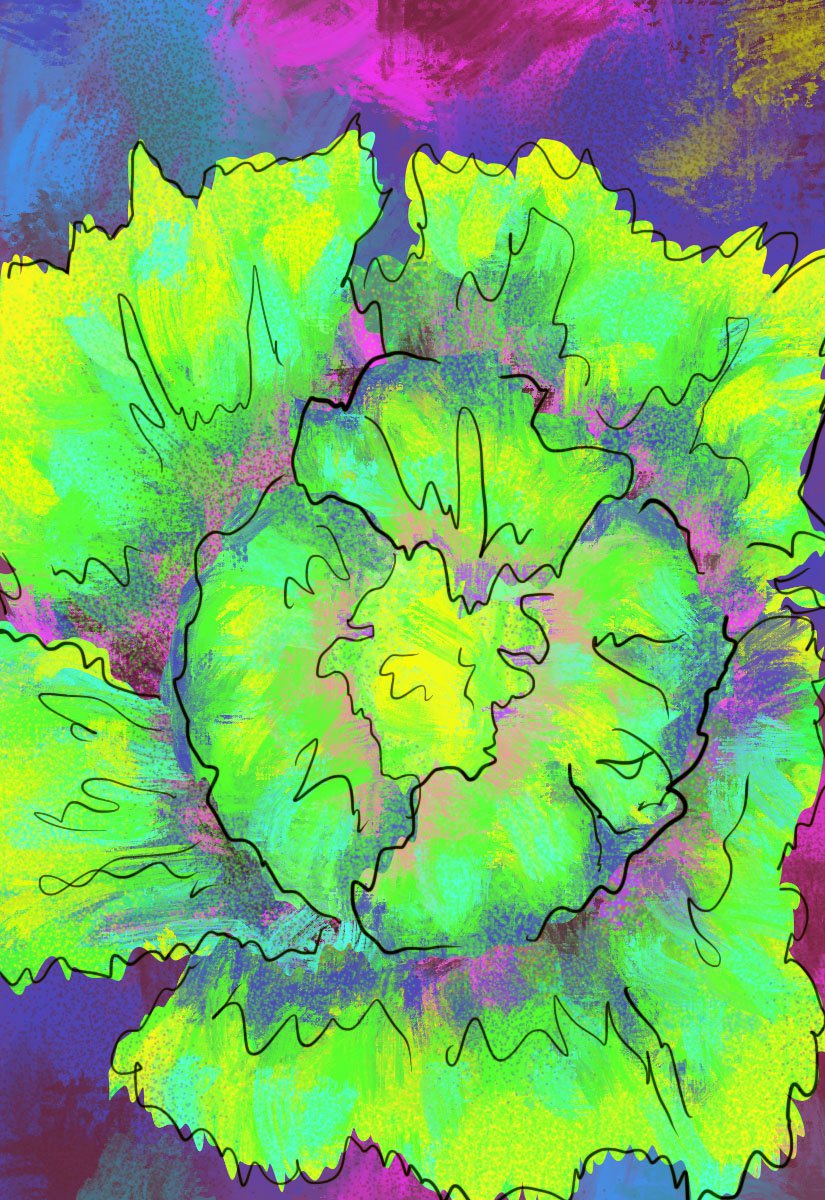 Lettuce Seeds - Iceberg - Sow True Seed