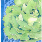 Lettuce Seeds - Kagraner Sommer - Sow True Seed