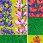 Lupine Seeds - Lupine Russell Mix - Sow True Seed