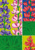 Lupine Seeds - Lupine Russell Mix