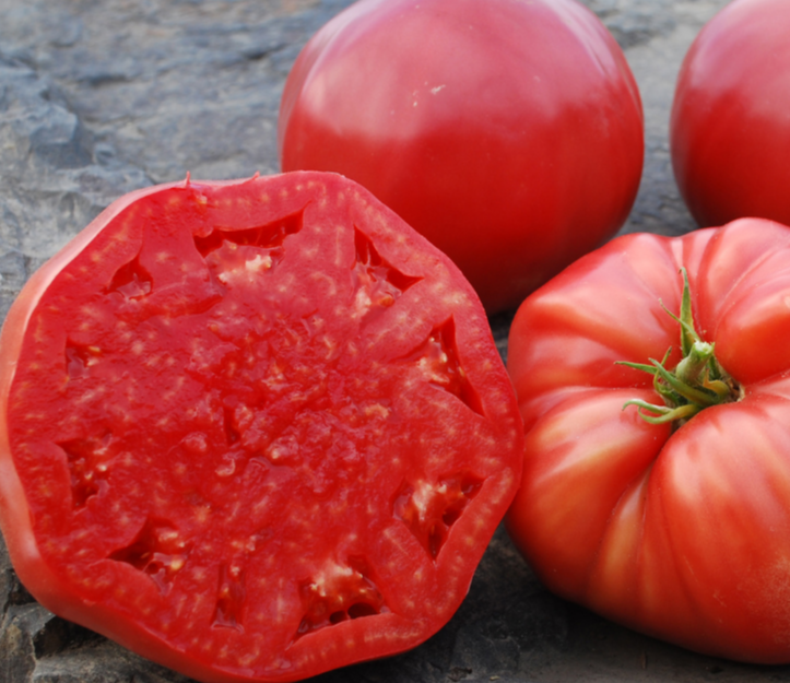 Slicing Tomato Seeds - Halladay's Mortgage Lifter - Sow True Seed