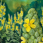 Mullein Seeds - Sow True Seed