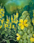 Mullein Seeds