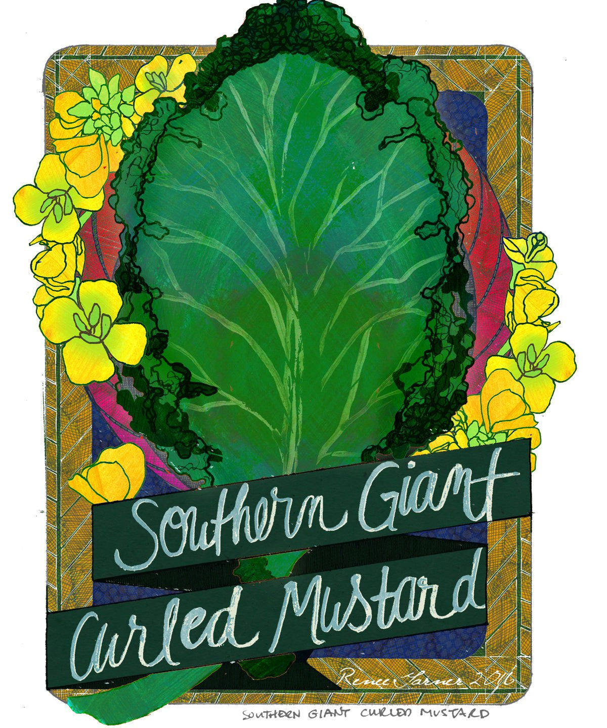 Mustard Greens Seeds - Southern Giant Curled - Sow True Seed