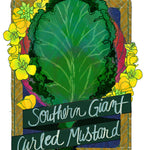 Mustard Greens Seeds - Southern Giant Curled - Sow True Seed