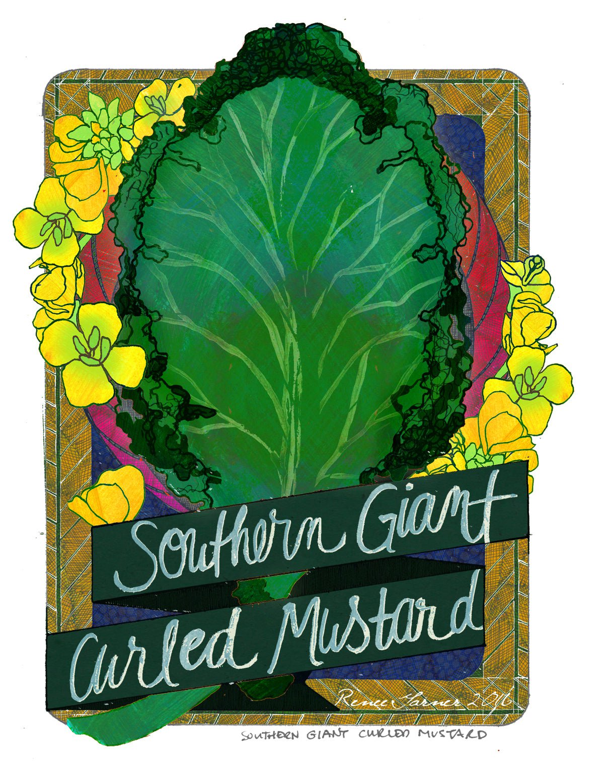Mustard Greens Seeds - Southern Giant Curled - Sow True Seed