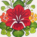 Nasturtium Seeds - Dwarf Jewel Mix - Sow True Seed