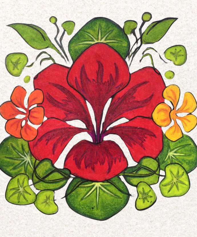 Nasturtium Seeds - Dwarf Jewel Mix - Sow True Seed