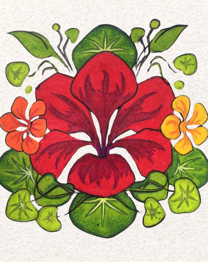 Nasturtium Seeds - Dwarf Jewel Mix - Sow True Seed