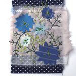 Nigella Seeds - Love in a Mist - Sow True Seed