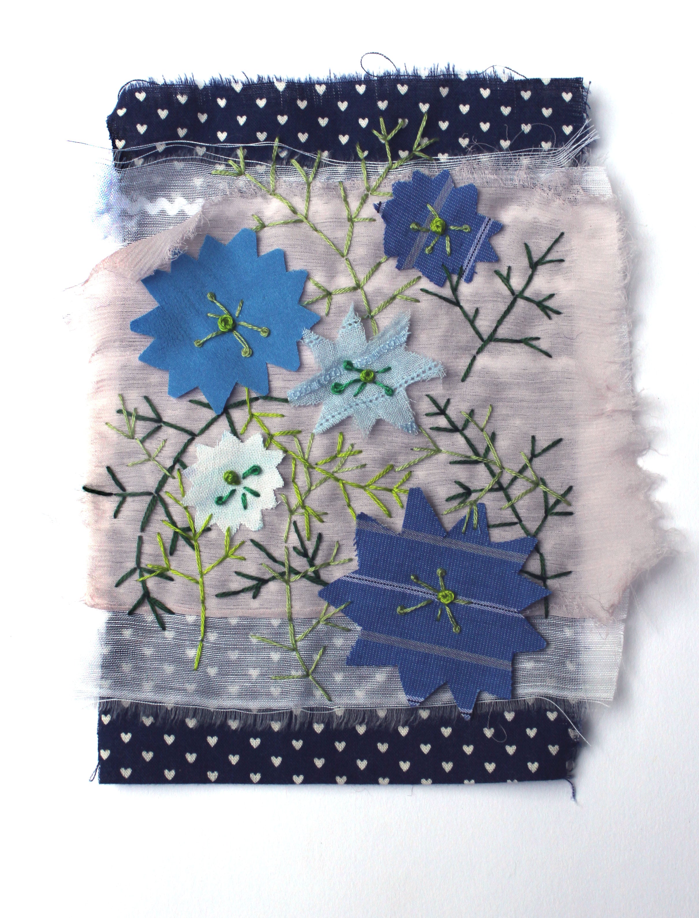 Nigella Seeds - Love in a Mist - Sow True Seed