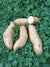 Norton Sweet Potatoes - Sow True Seed