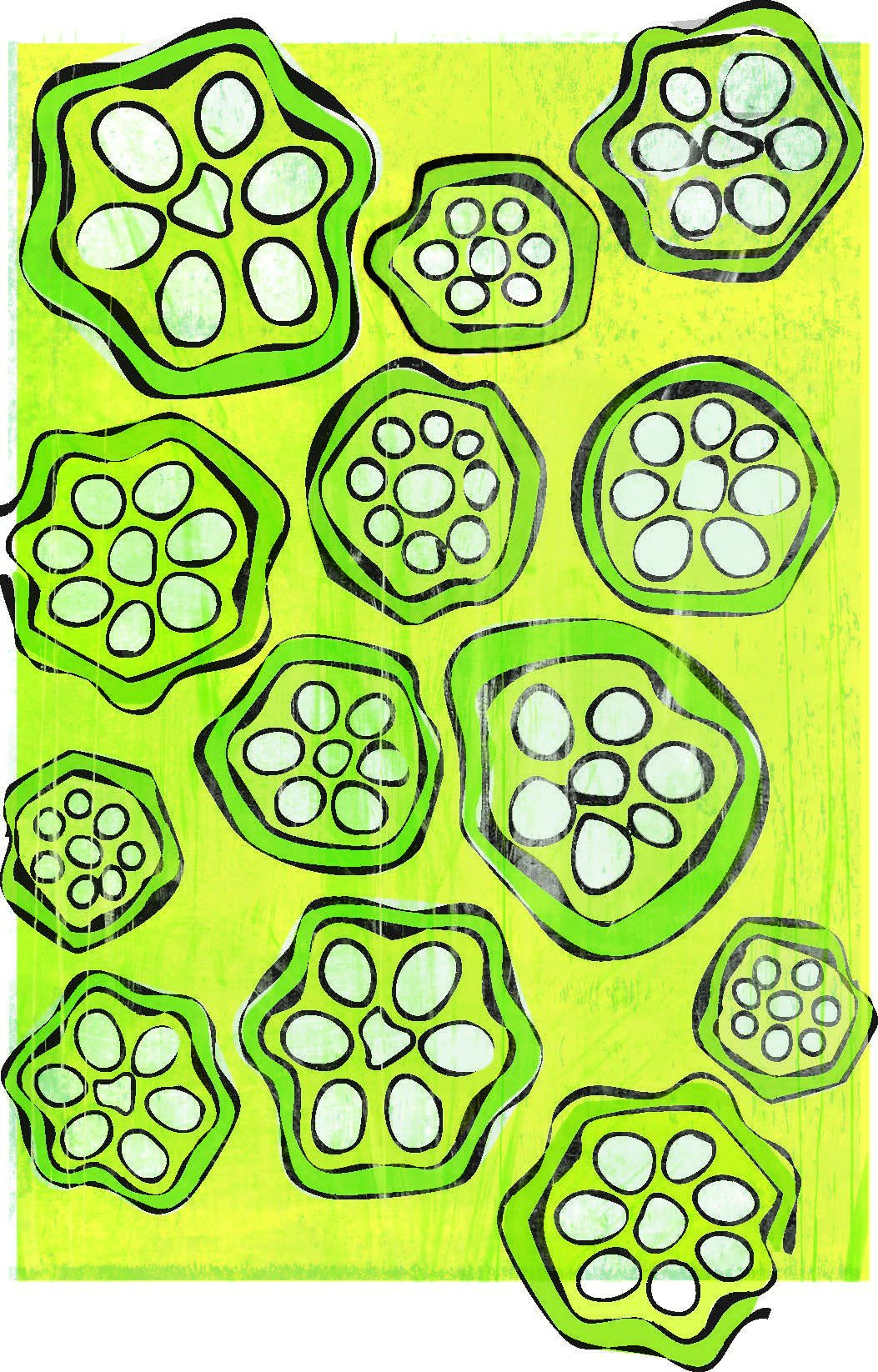 Okra Seeds - Clemson Spineless 80 - Sow True Seed