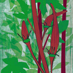 Okra Seeds - Red Burgundy - Sow True Seed