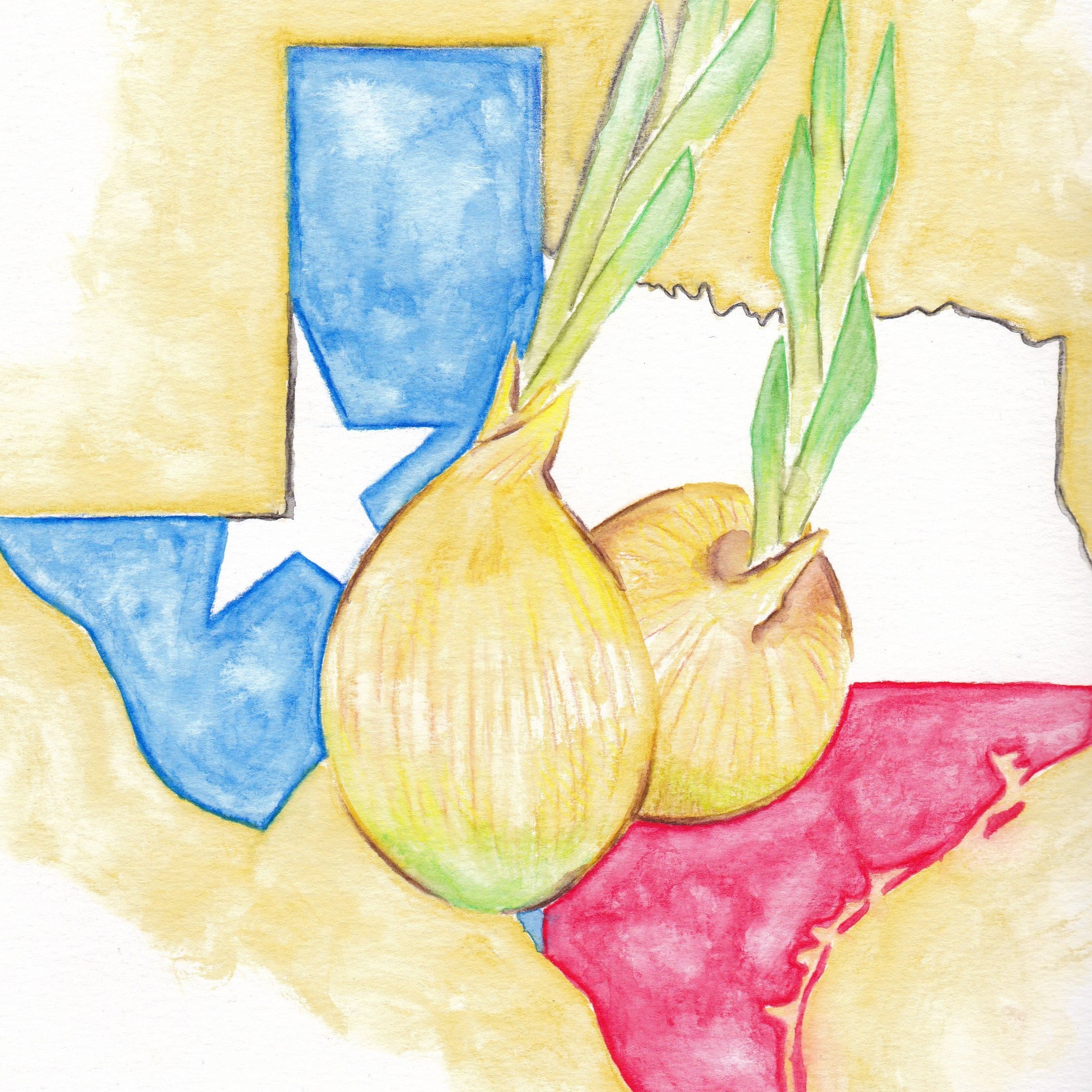 Onion Seeds - Texas Early Grano - Sow True Seed