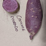 Camote Morado Sweet Potato - Sow True Seed