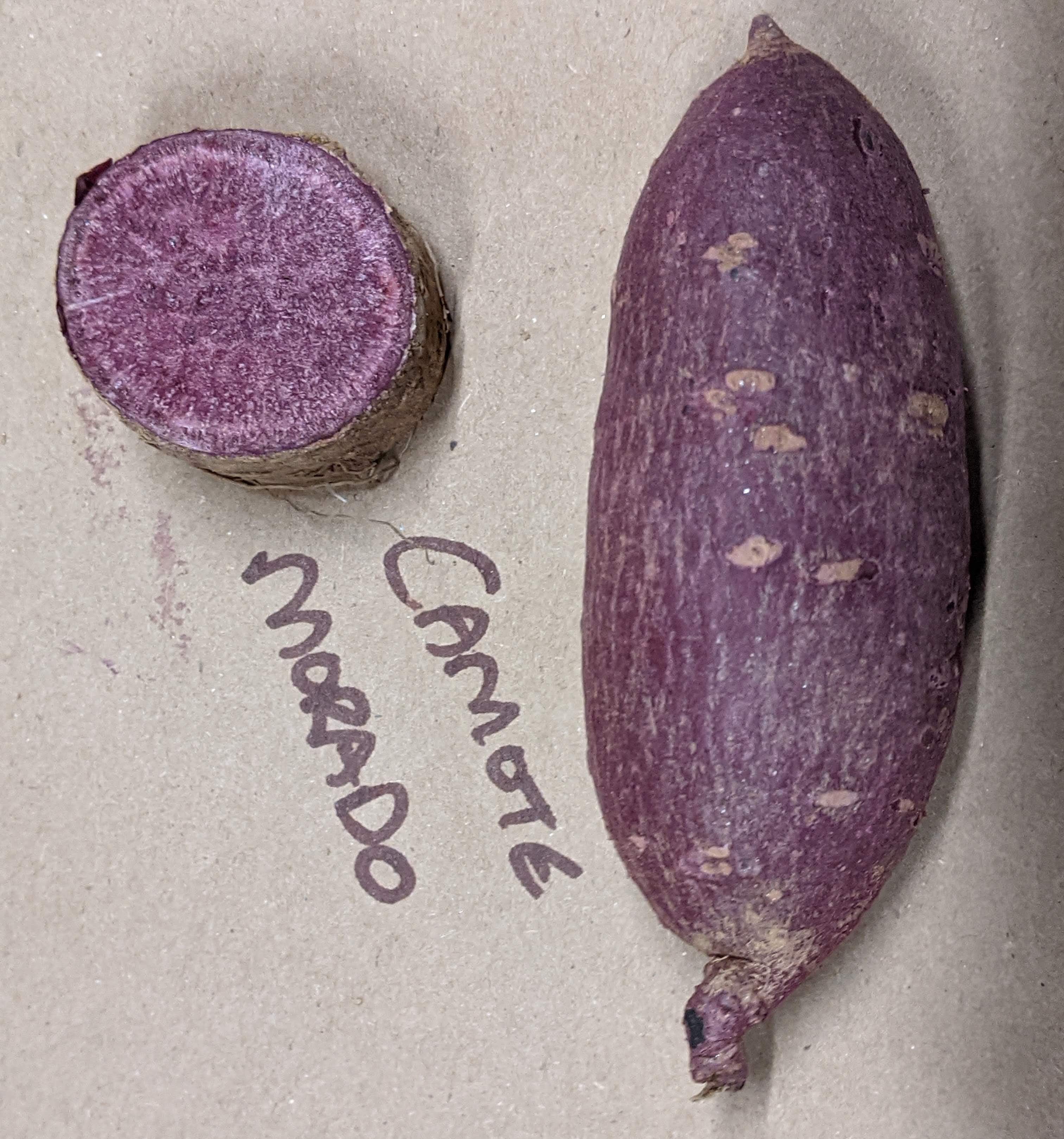 Camote Morado Sweet Potato - Sow True Seed