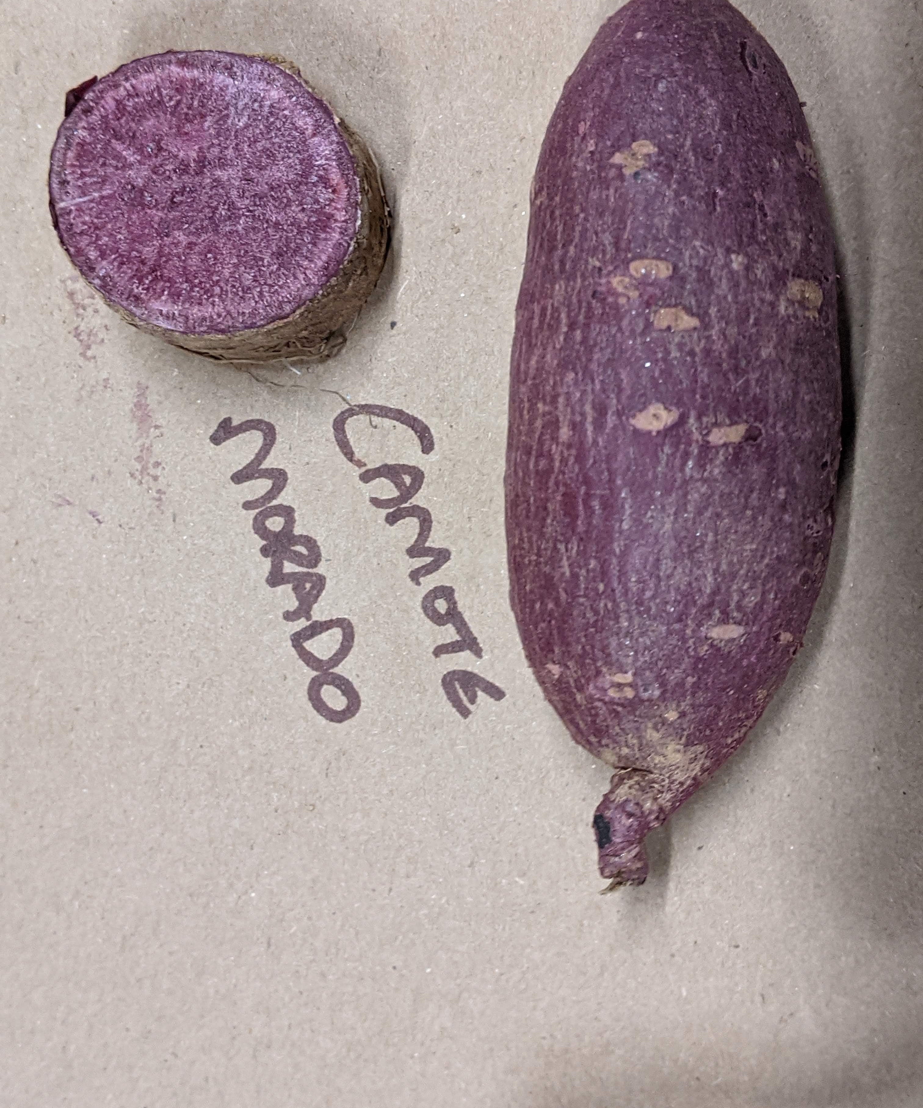 Camote Morado Sweet Potato - Sow True Seed