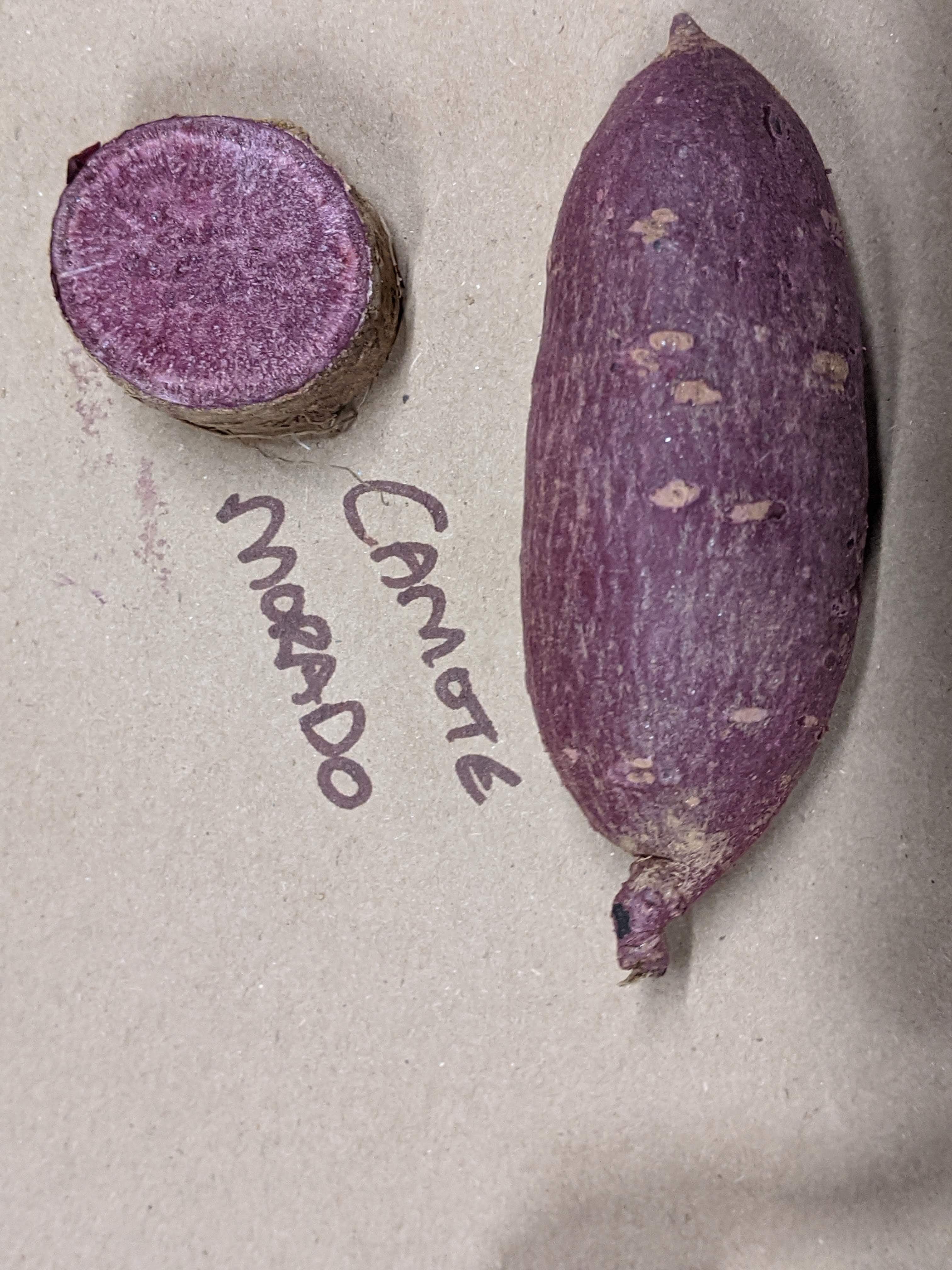 Camote Morado Sweet Potato - Sow True Seed