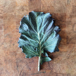 Collard Seeds - Purple Ultracross - Sow True Seed