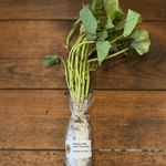 Nancy Hall Sweet Potatoes - Sow True Seed