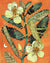 Partridge Pea Seeds
