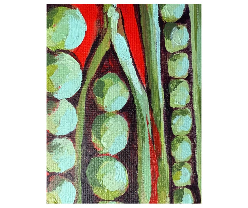 Shelling Pea Seeds - Lincoln - Sow True Seed