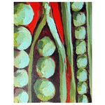 Shelling Pea Seeds - Lincoln - Sow True Seed