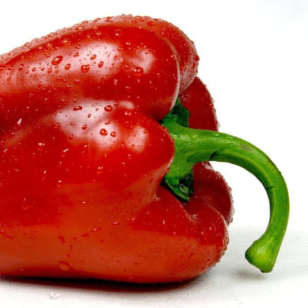 120+ GIANT RED BELL PEPPER SEEDS - Sweet Heirloom - Organic - Non-GMO - Fresh - View #4