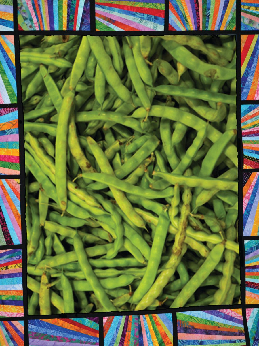 Pole Bean Seeds - Bertie Best Greasy, ORGANIC - Sow True Seed