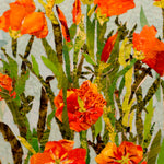 Poppy Seeds - California - Sow True Seed