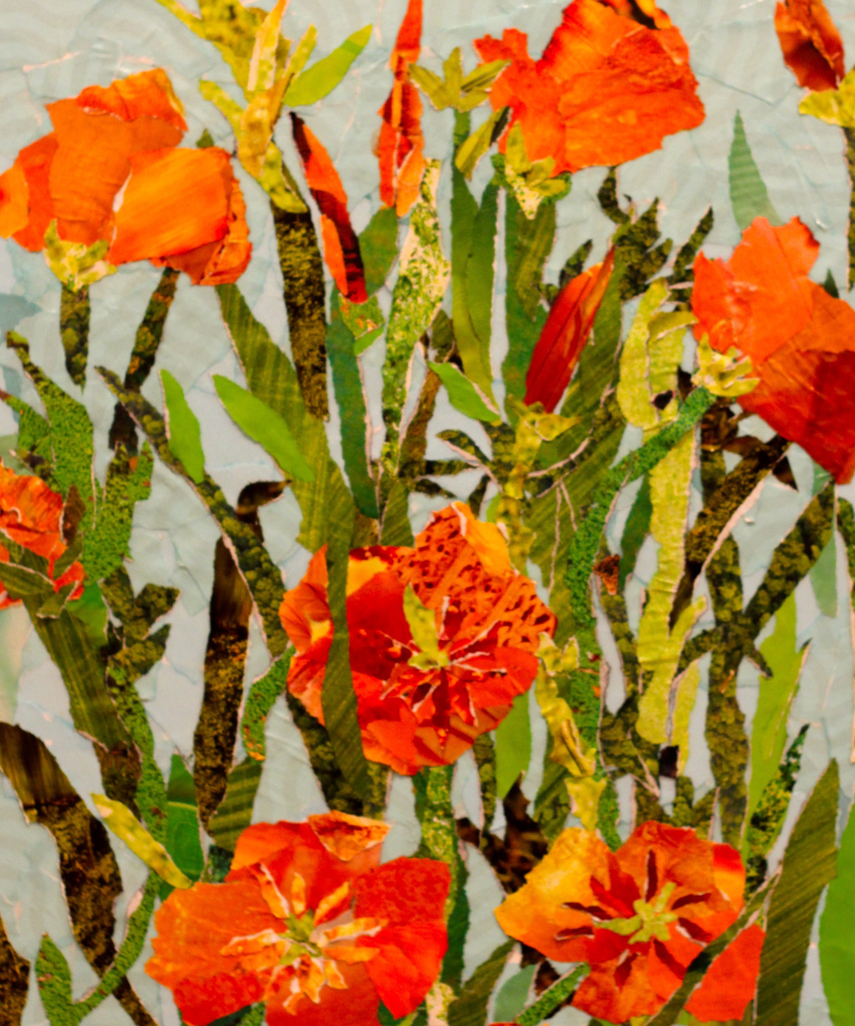 Poppy Seeds - California - Sow True Seed