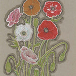 Poppy Seeds - Corn Mix - Sow True Seed