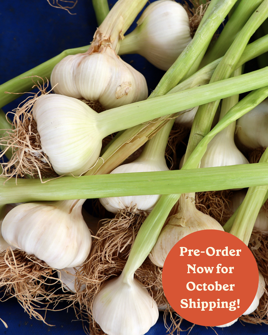 Get the Sow True Seed Catalog!