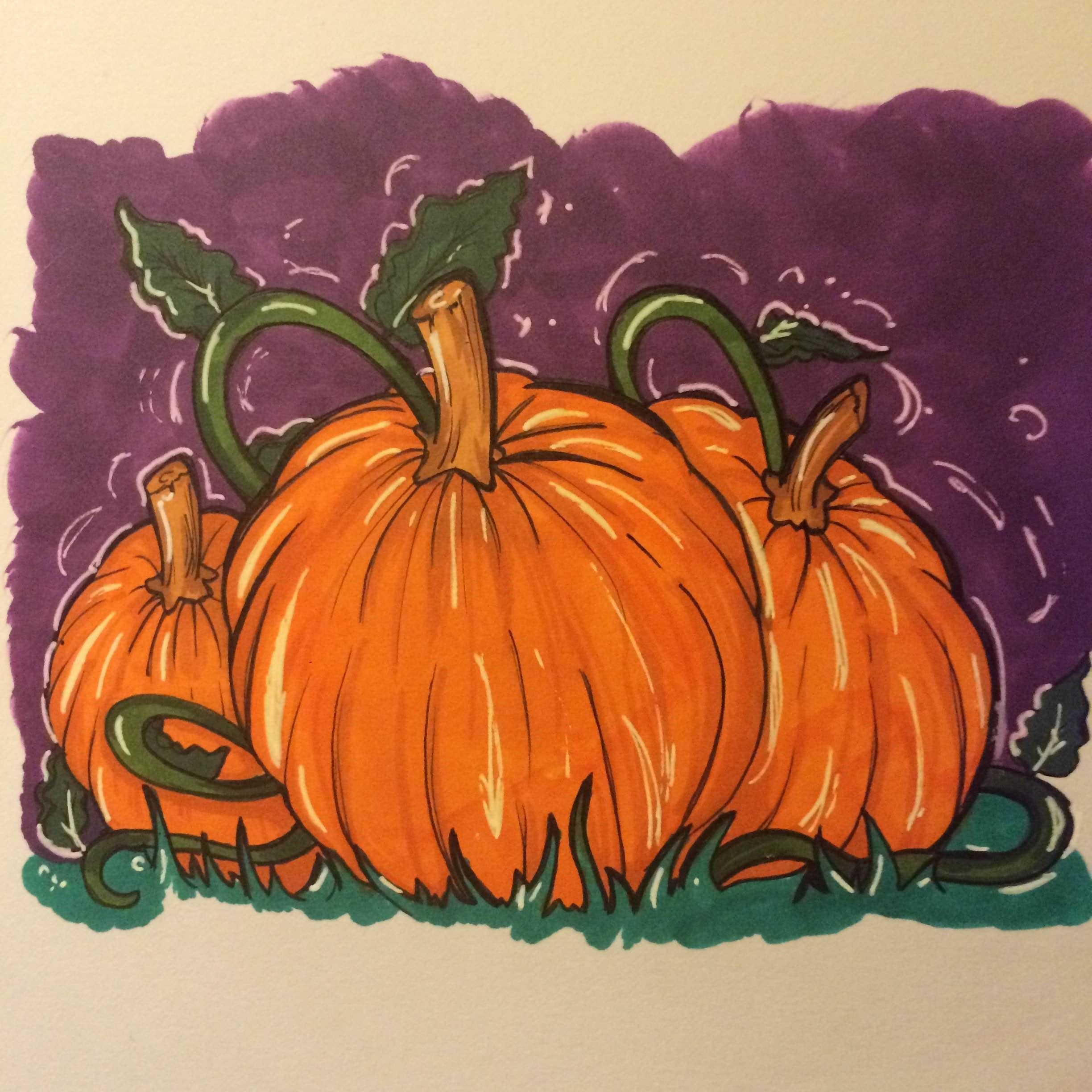 Pumpkin Seeds - Connecticut Field - Sow True Seed