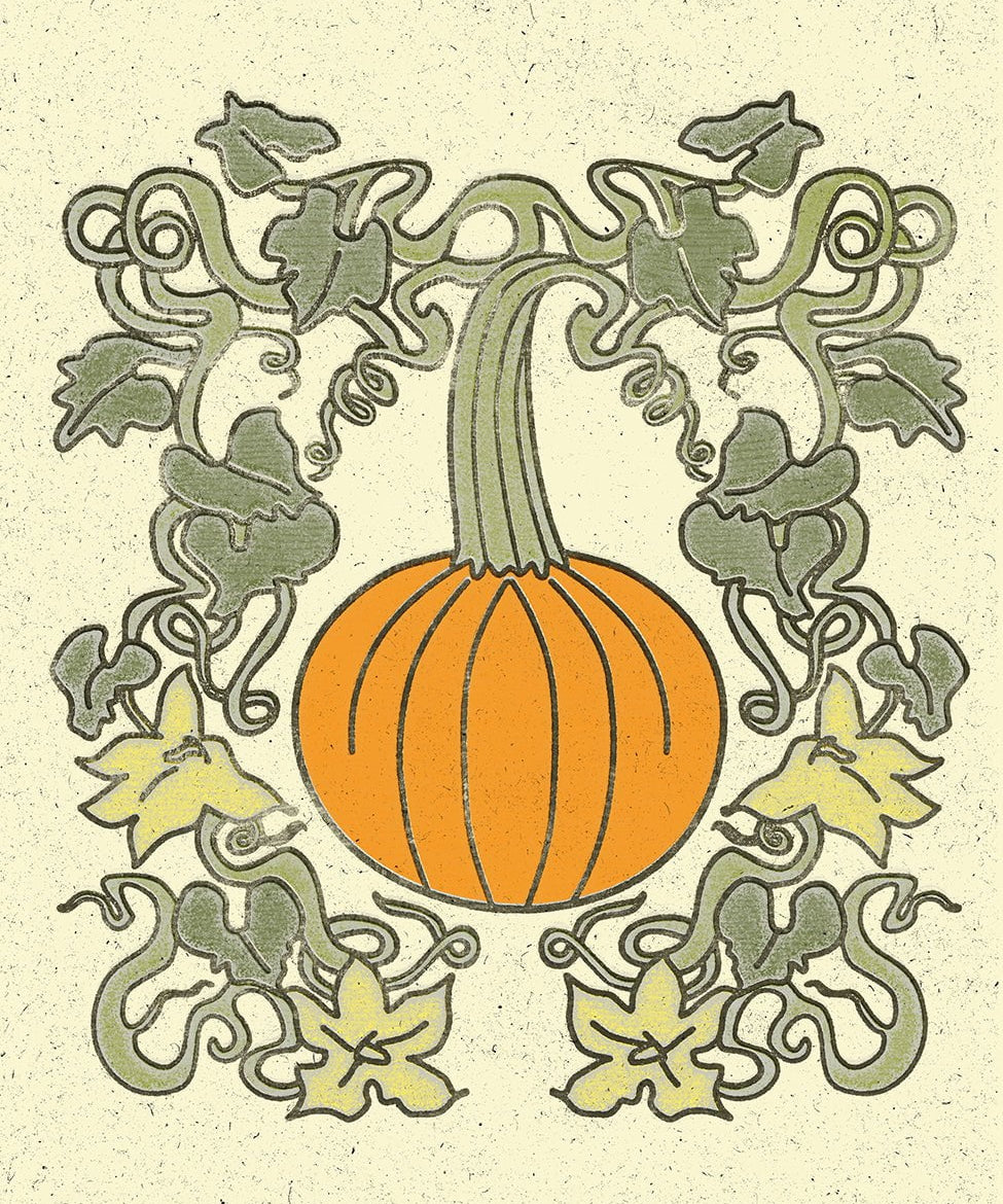 Pumpkin Seeds - Small Sugar - Sow True Seed