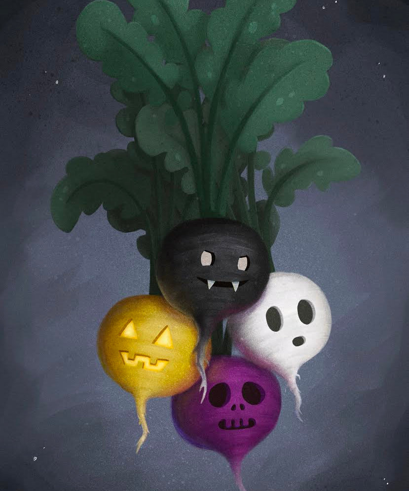 Radish Seeds - Halloween Mix - Sow True Seed